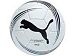 M�� Puma King Exec ...FIFA Approved ...AKCE M�� Puma - klikn�te pro v�t�� n�hled